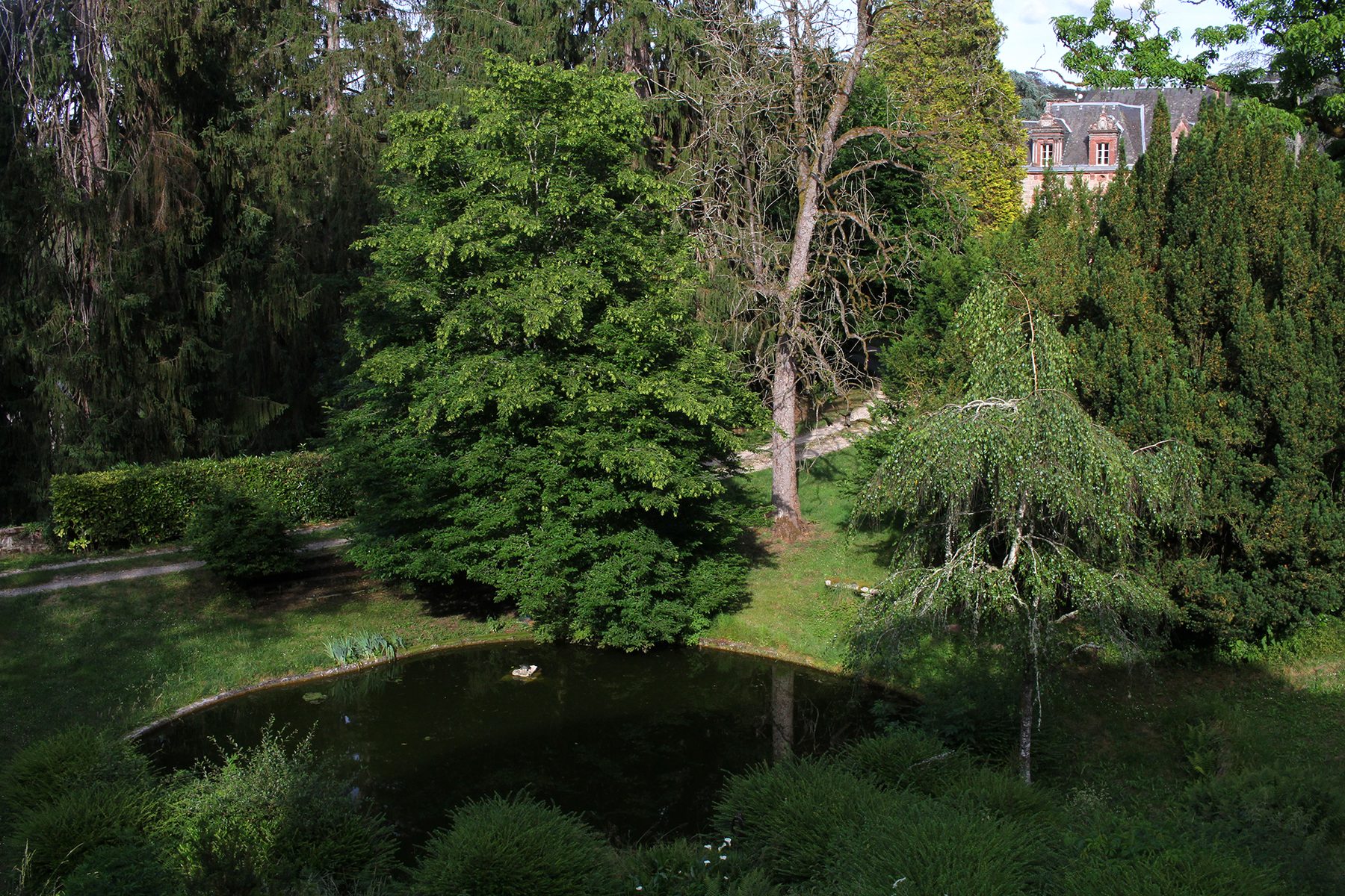 Photo 12 du Gîte N° 1 à Brive-la-Gaillarde